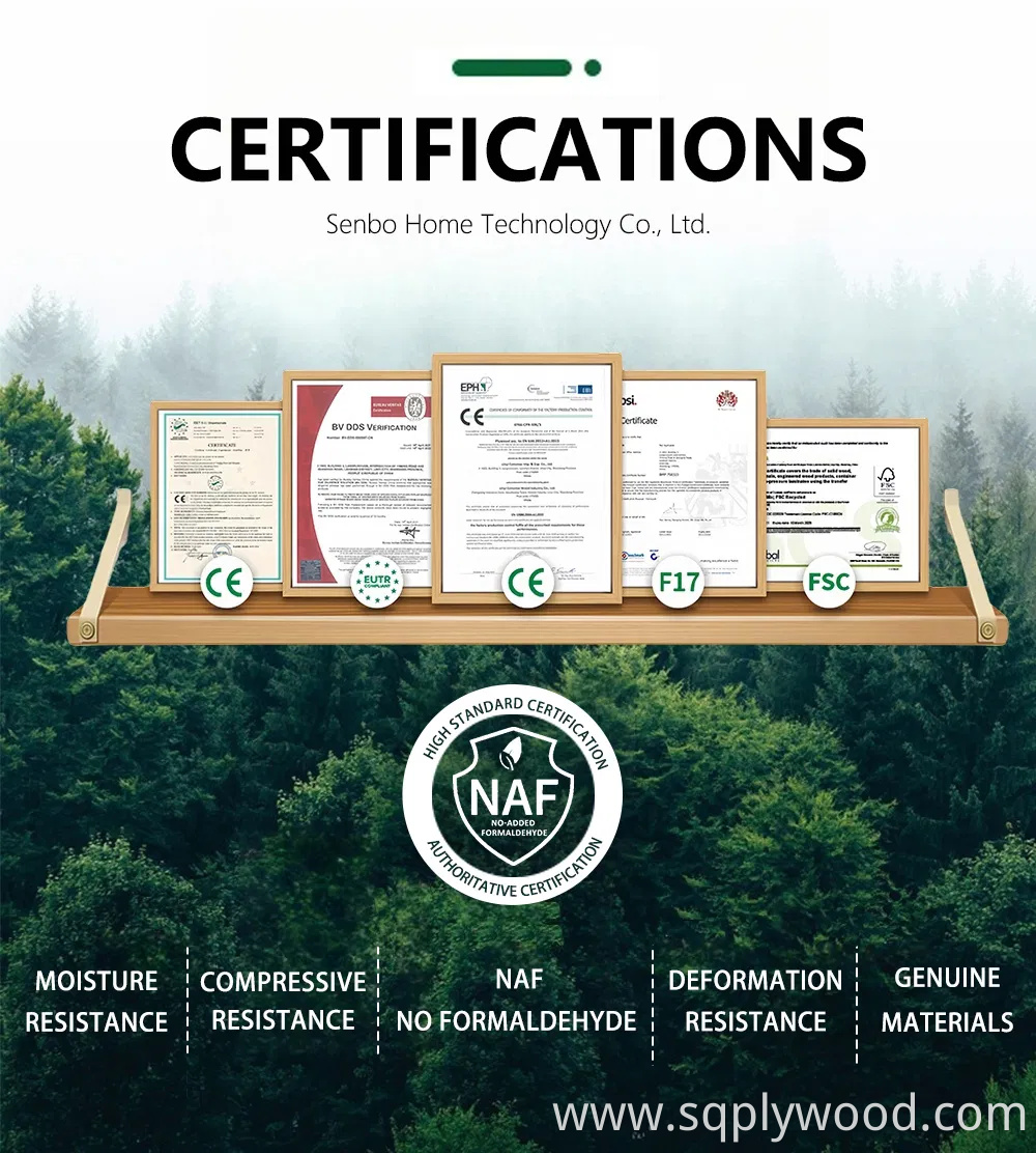 18mm Commercial Marine Waterproof Plywood Eucalyptus Laminated for Yacht